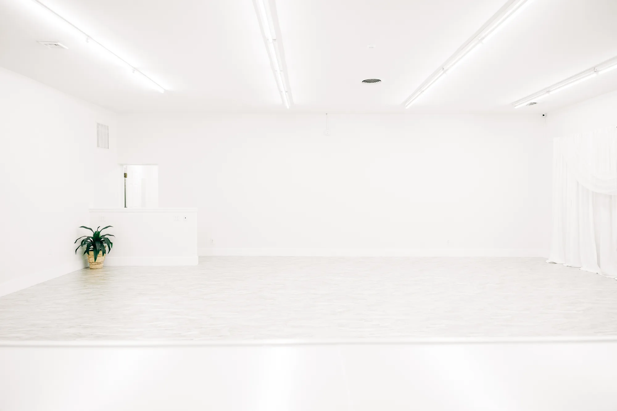 Bright empty white open studio space with seamless floor and potted plant at Studio 87, by OpenDoors360
