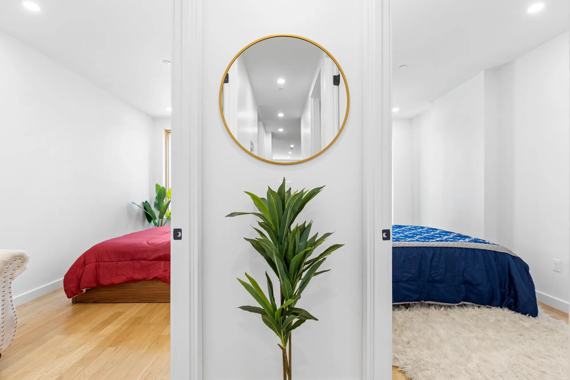 Colorful abstract portrait painting mounted on a purple accent wall beside a potted plant, by OpenDoors360